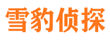 汉川市私人调查